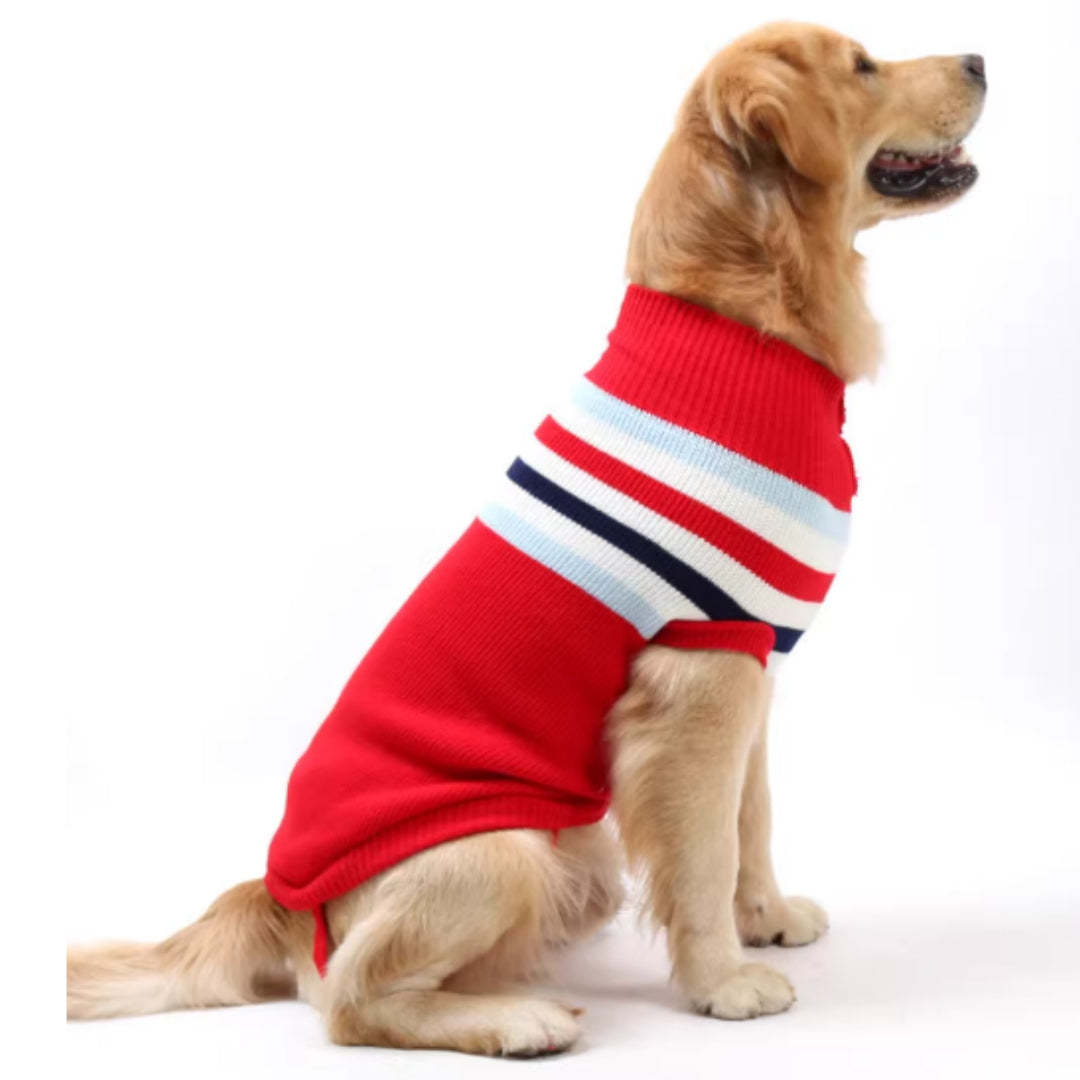 Why Your Medium to Large Breed Dog Deserves This Cozy Sweater